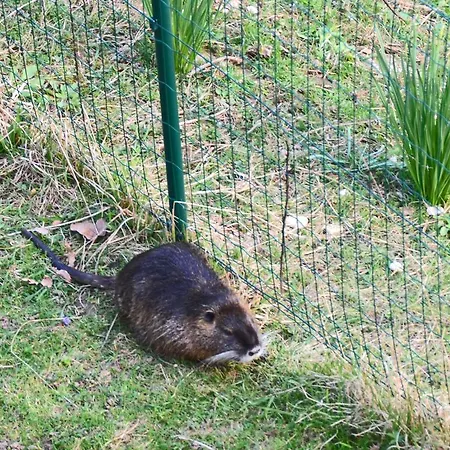 招待所 灵魂旅馆 *